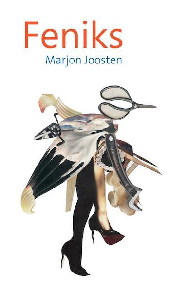 Feniks - Marjon Joosten (ISBN 9789492411303)