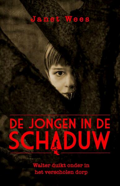 De jongen in de schaduw - Janet Wees (ISBN 9789026622663)