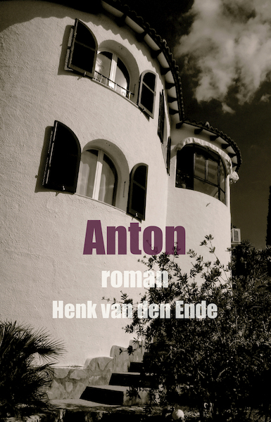 Anton - Henk van den Ende (ISBN 9789460083198)