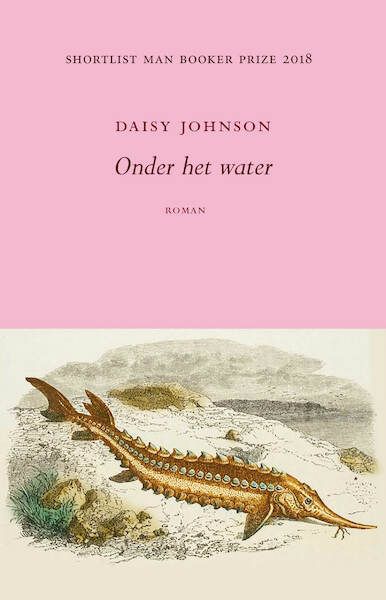 Onder het water - Daisy Johnson (ISBN 9789492313744)