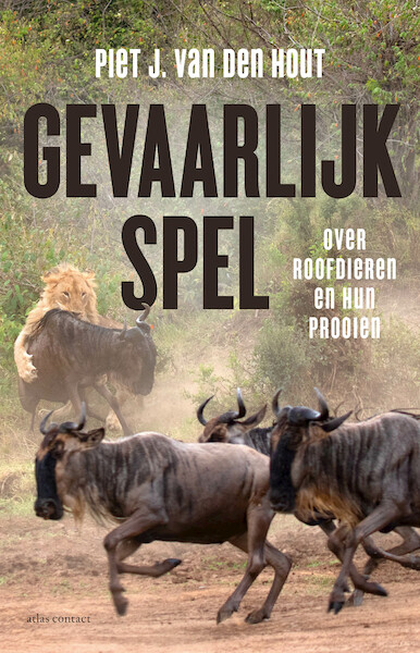 Gevaarlijk spel - Piet J. van den Hout (ISBN 9789045038742)