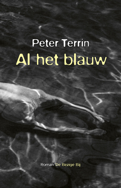 Al het blauw - Peter Terrin (ISBN 9789403125916)