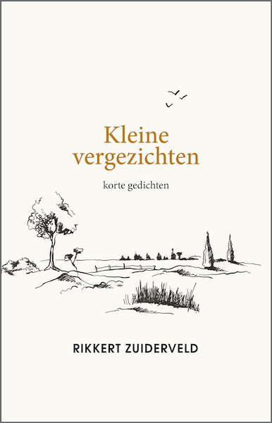 Kleine vergezichten - Rikkert Zuiderveld (ISBN 9789033802577)