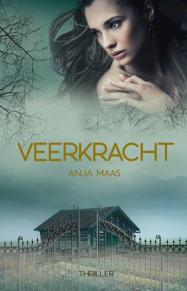 Veerkracht - Anja Maas (ISBN 9789493266049)