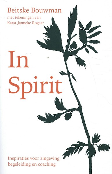 In spirit - Beitske Bouwman, Karst-Janneke Rogaar (ISBN 9789085601333)