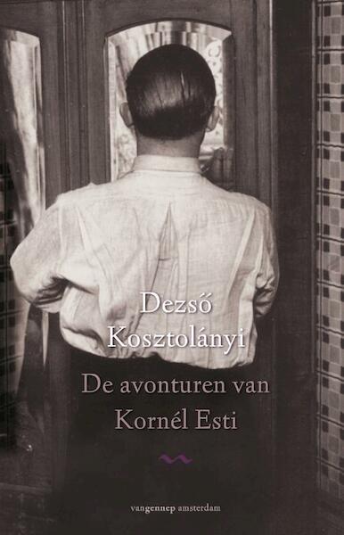De avonturen van Kornel Esti - Dezso Kosztolányi, Dezso¿ Kosztolányi (ISBN 9789461640055)