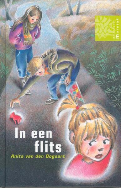 In een flits - Anita van den Bogaart (ISBN 9789043703208)