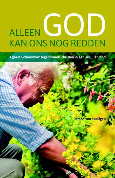 Alleen God kan ons nog redden - Remco van Mulligen (ISBN 9789058819567)