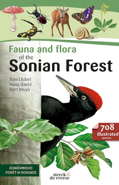 Fauna and Flora of the Zonienforest - Bart Muys, Toni Llobet, Hans Baeté (ISBN 9789056156862)
