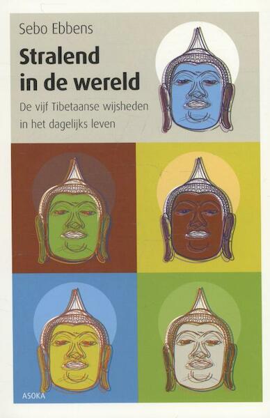 Stralend in de wereld - Sebo Ebbens (ISBN 9789056702915)