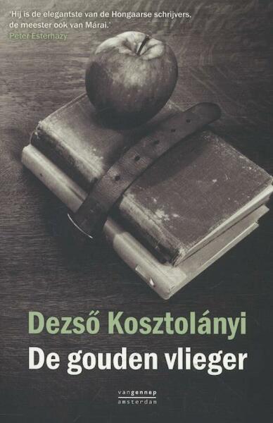 De gouden vlieger - Dezso Kosztolanyi (ISBN 9789461641601)