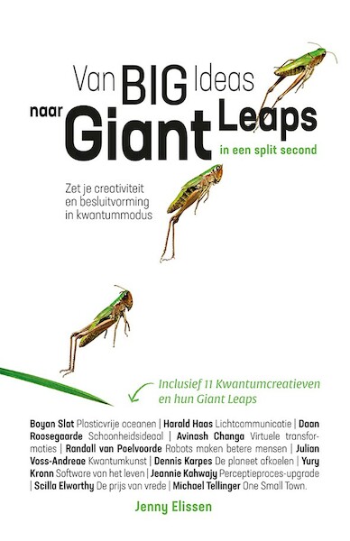Van Big Ideas naar Giant Leaps. In een split second. - Jenny Elissen (ISBN 9789492107138)