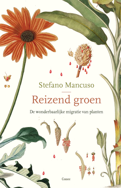 Reizend groen - Stefano Mancuso (ISBN 9789059368583)