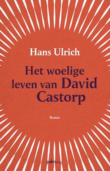 Het woelige leven van David Castorp - Hans Ulrich (ISBN 9789493059382)