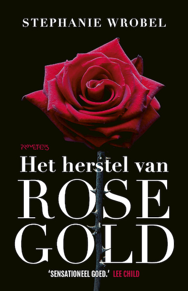 Het herstel van Rose Gold - Stephanie Wrobel (ISBN 9789044643756)