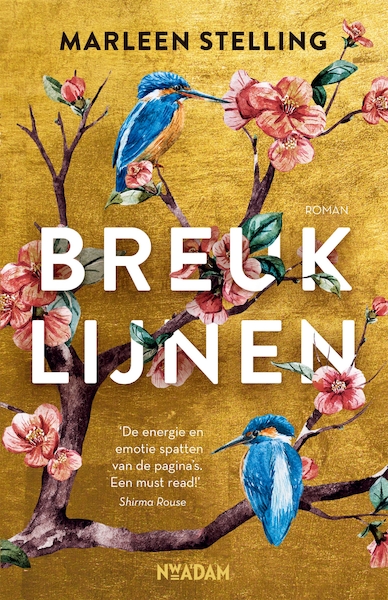 Breuklijnen - Marleen Stelling (ISBN 9789046831069)