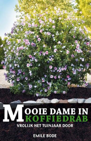 Mooie Dame in Koffiedrab - Emile Bode (ISBN 9789085109075)