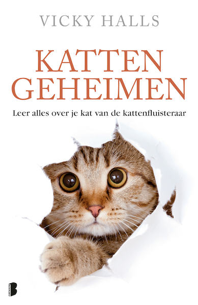 Kattengeheimen - Vicky Halls (ISBN 9789022573495)