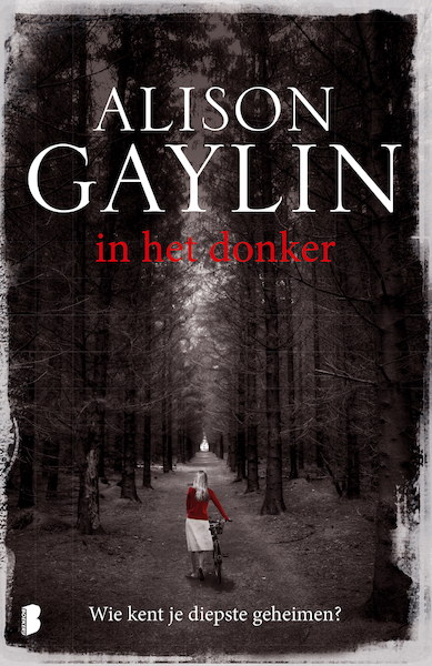 in het donker - Alison Gaylin (ISBN 9789402302264)