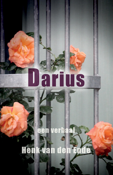 Darius - Henk van den Ende (ISBN 9789460083211)