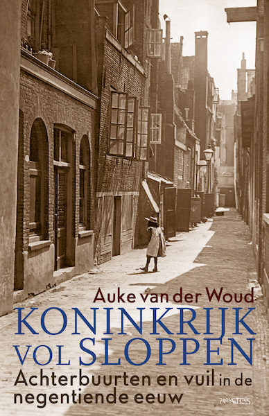 Koninkrijk vol sloppen - Auke van der Woud (ISBN 9789044649086)