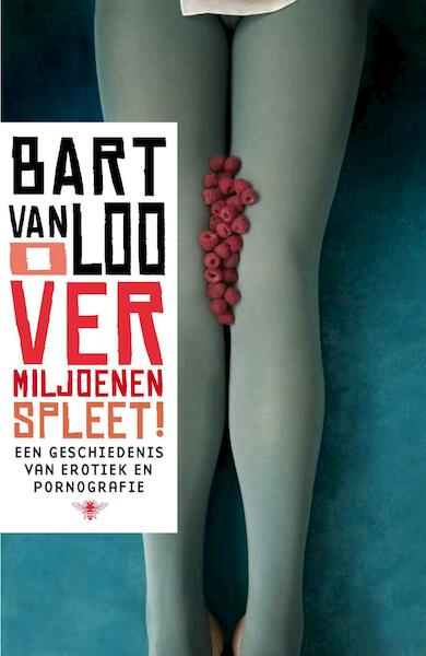 O vermiljoenen spleet - Bart Van Loo (ISBN 9789460420542)