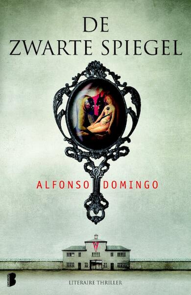 Zwarte spiegel - Alfonso Domingo (ISBN 9789022563687)
