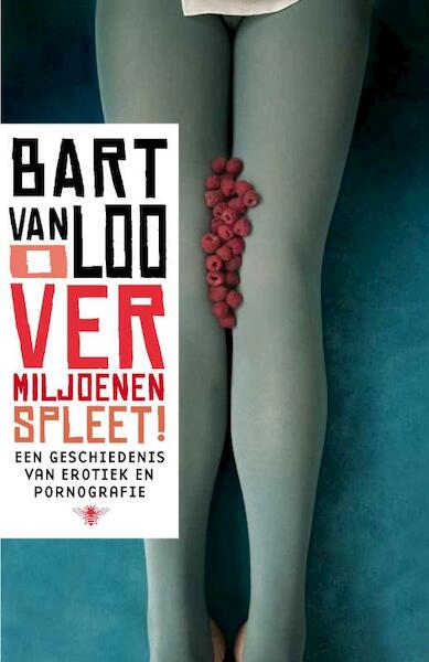 O vermiljoenen spleet - Bart Van Loo (ISBN 9789085424956)