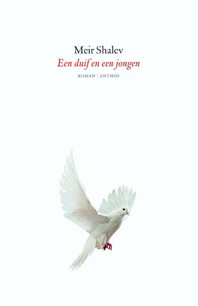 Een duif en een jongen - Meir Shalev (ISBN 9789041422927)