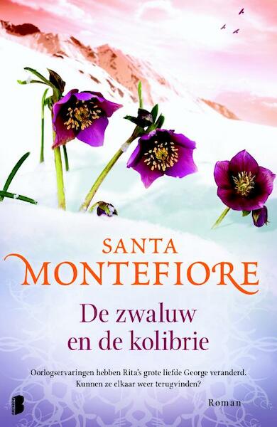 De zwaluw en de kolibrie - Santa Montefiore (ISBN 9789022568798)
