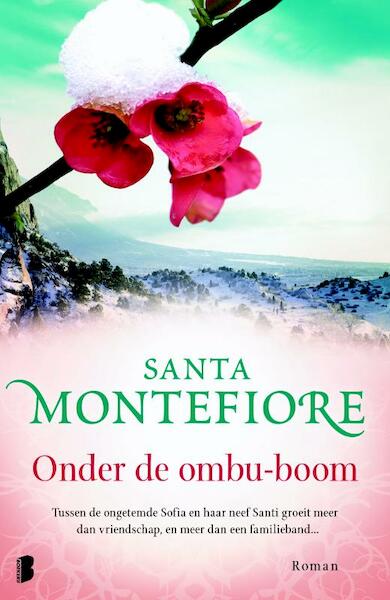 Onder de ombu-boom - Santa Montefiore (ISBN 9789022568811)