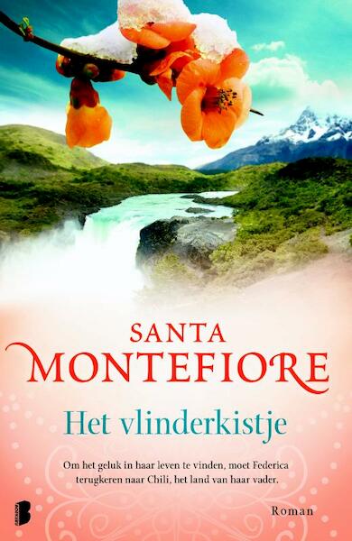 Het vlinderkistje - Santa Montefiore (ISBN 9789022568828)