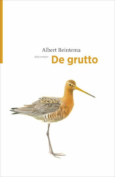 De grutto - Albert Beintema (ISBN 9789045029443)