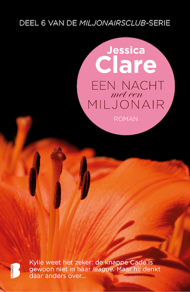 Een nacht met een miljonair - Jessica Clare (ISBN 9789022576021)