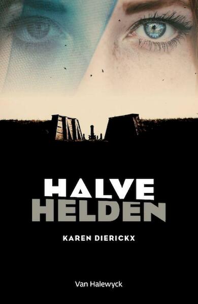 Halve helden - Karen Dierickx (ISBN 9789461315328)