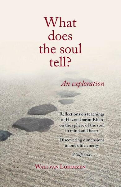 What does the soul tell? - Wali Van Lohuizen (ISBN 9789491574191)