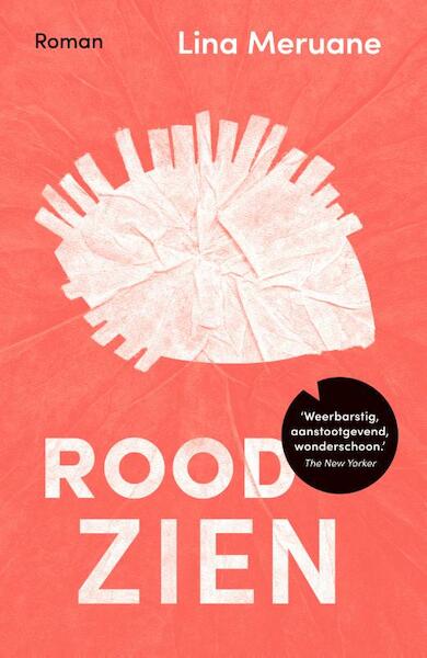 Rood zien - Lina Meruane (ISBN 9789056726034)