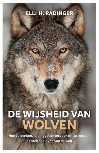 De wijsheid van wolven - Elli Radinger (ISBN 9789044976946)