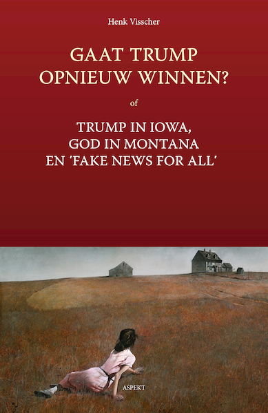 Gaat Trump opnieuw winnen? - Henk Visscher (ISBN 9789463388016)