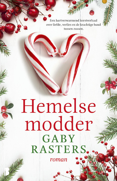 Hemelse modder - Gaby Rasters (ISBN 9789022586488)