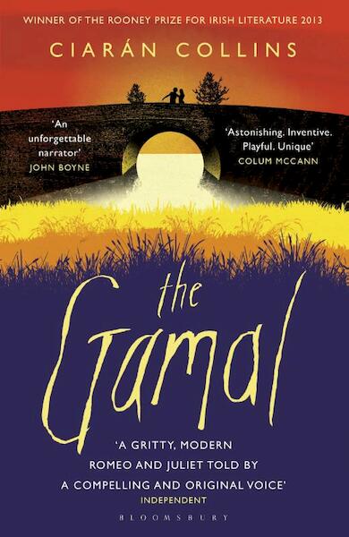 The gamal - Ciaran Collins (ISBN 9781408834107)