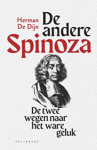 De andere Spinoza - Herman De Dijn (ISBN 9789463105873)