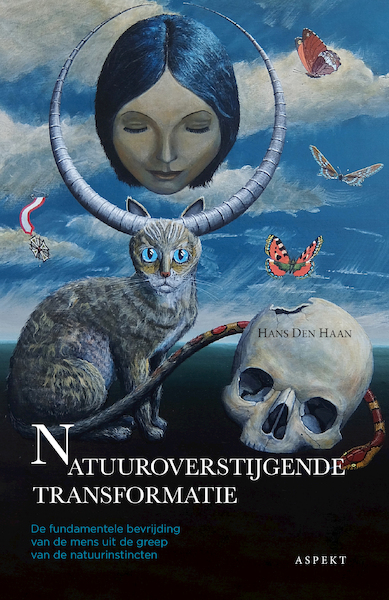 Natuuroverstijgende transformatie - Hans den Haan (ISBN 9789464248432)
