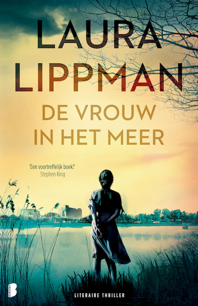 De vrouw in het meer - Laura Lippman (ISBN 9789059900974)