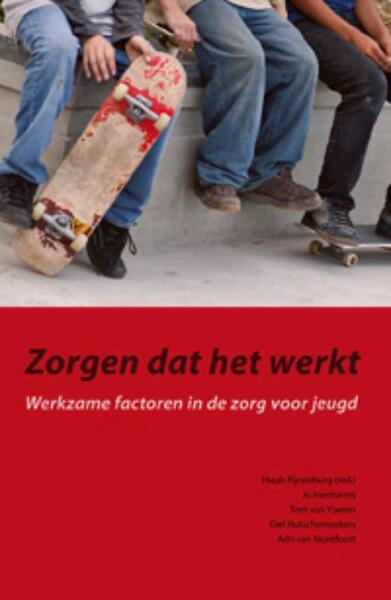 Zorgen dat het werkt - Huub Pijnenburg, Jo Hermanns, Tom van Yperen, Giel Hutschemaekers (ISBN 9789088501319)