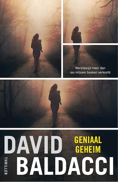 Geniaal geheim - David Baldacci (ISBN 9789044960716)