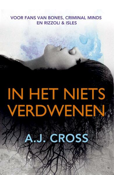 In het niets verdwenen - A.J. Cross (ISBN 9789026129926)