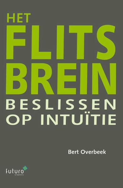 Het flitsbrein - Bert Overbeek (ISBN 9789492221001)