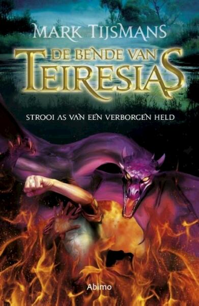 Strooi as van een verborgen held - Tijsmans Mark (ISBN 9789462345478)