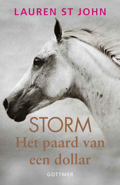Storm 1 Het paard van een dollar - Lauren St John (ISBN 9789025766603)